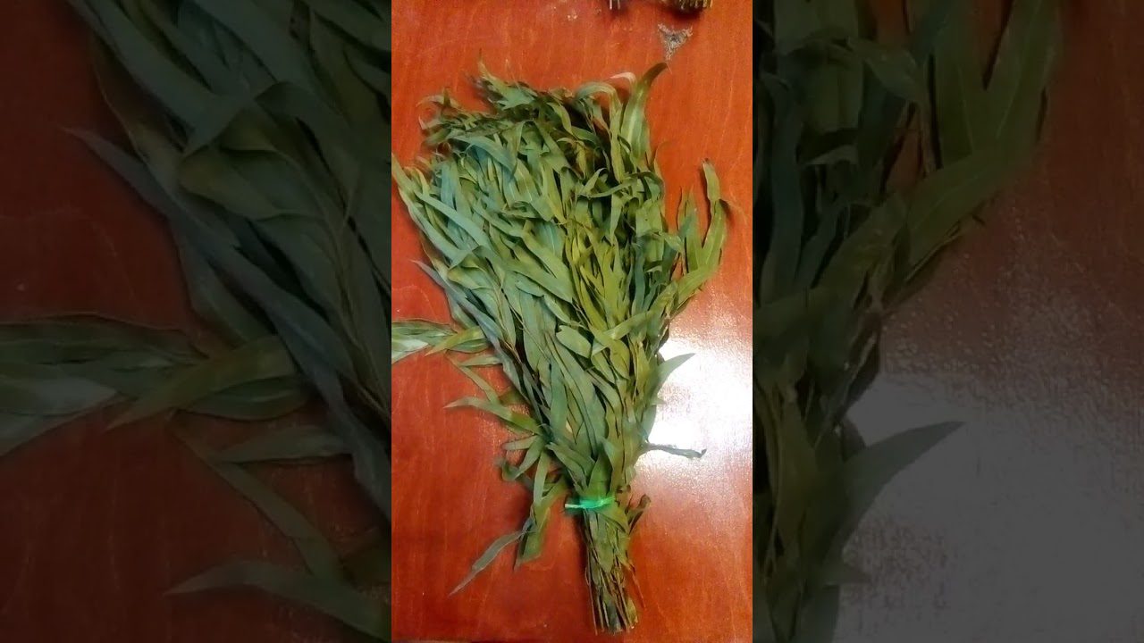 Віники для бані