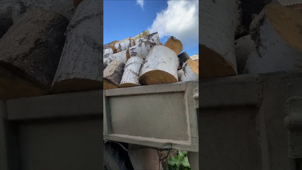 Експерти назвали найкращі сорти дров для розтопки печі