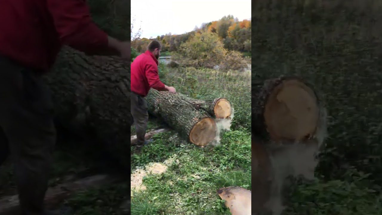 Експерти назвали найкращі сорти дров для розтопки печі