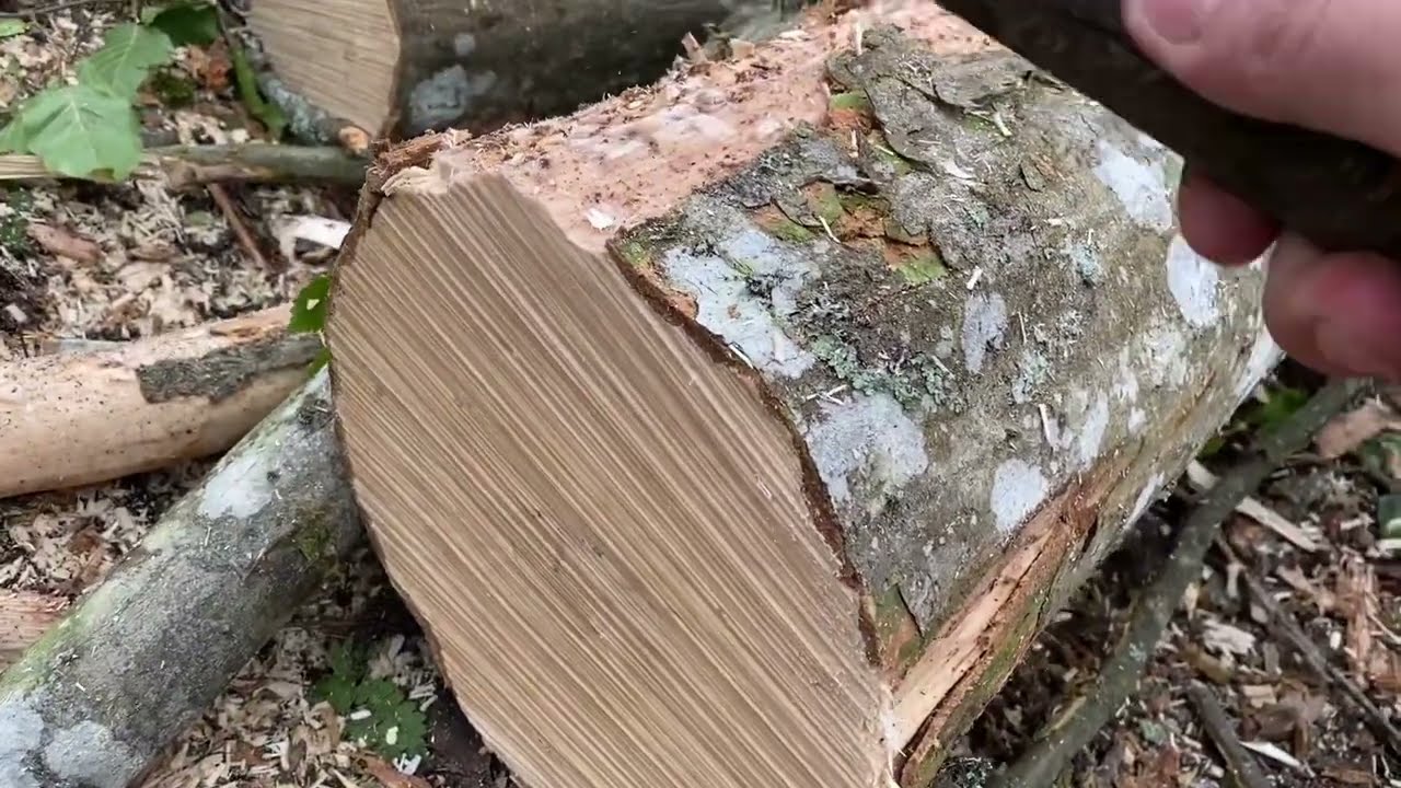 Експерти назвали найкращі сорти дров для розтопки печі