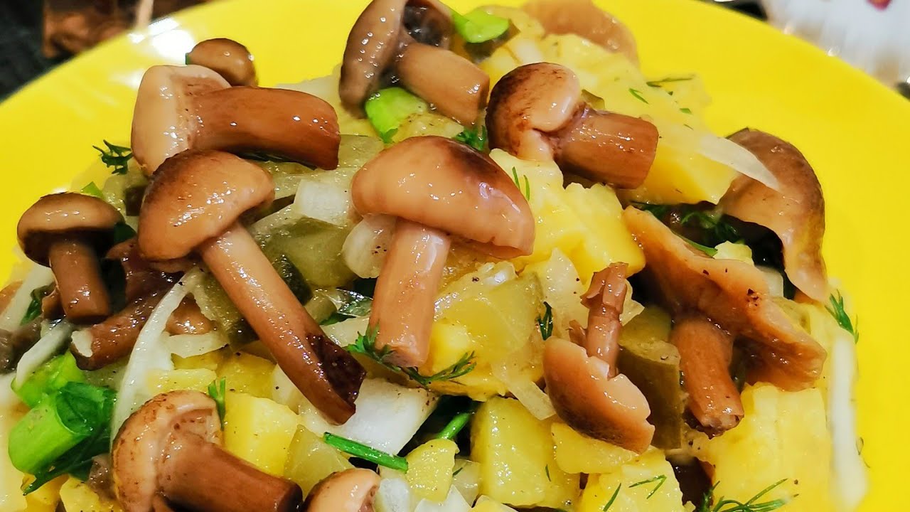 Рецепти бюджетних салатів після свят