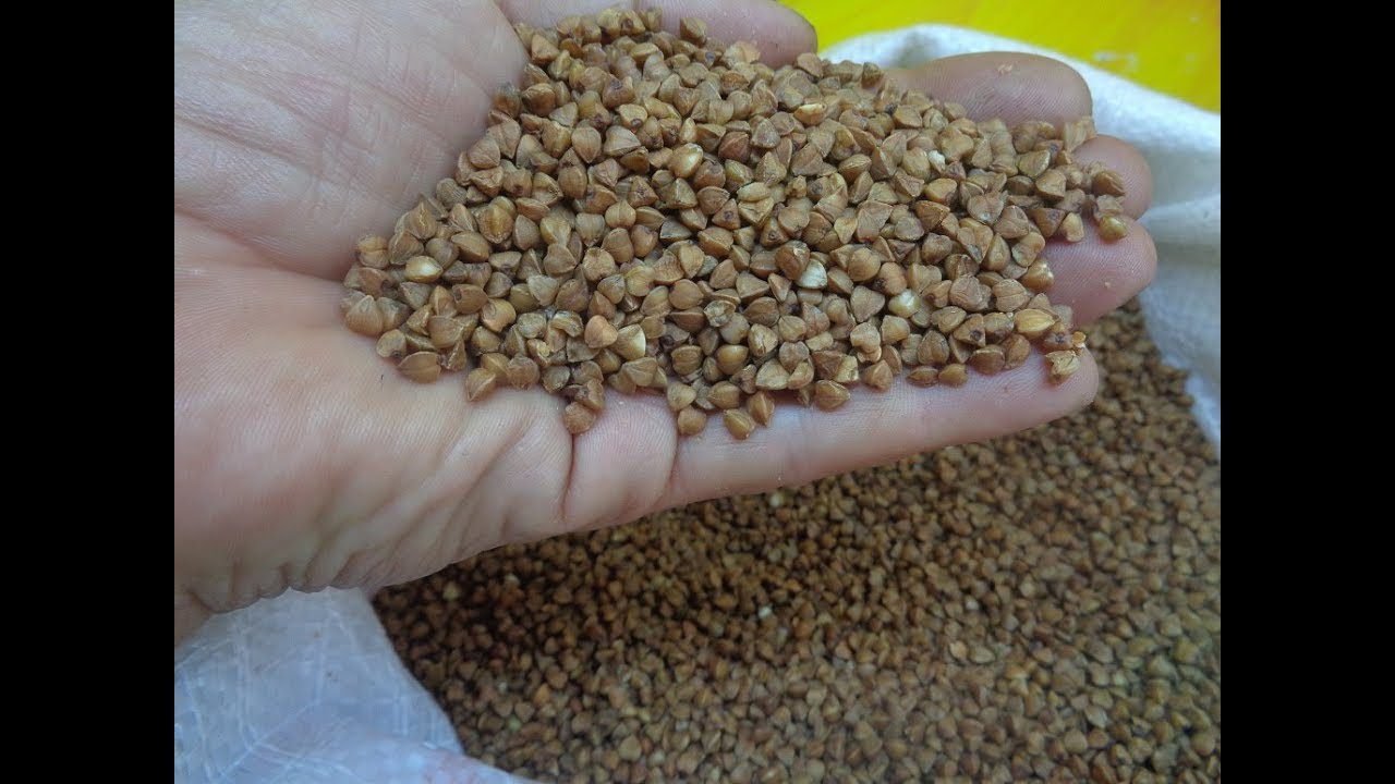 Експерти назвали крупи для городу, які замінять собою тонни гною