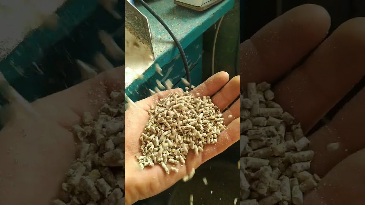 Експерти розповіли, як зробити курник теплішим