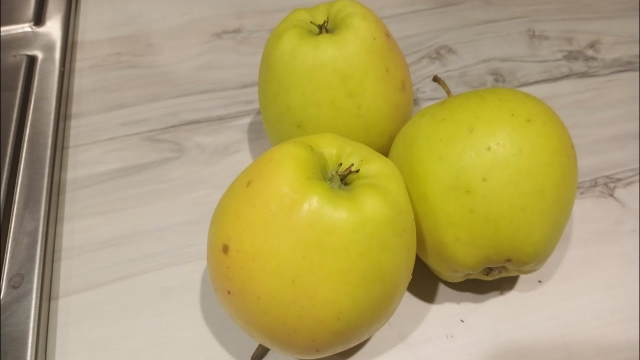 Садівники назвали найсолодші сорти яблунь для українських садів