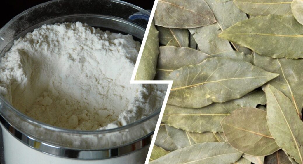 Досвідчені господині кладуть 1 лавровий лист у банку з борошном: секрет, який рятує запаси 