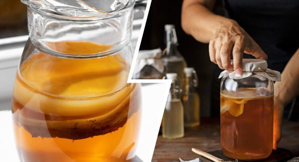 Чайний гриб повертається у меню: 3 кроки, як приготувати “комбучу” в 3-літровій банці вдома 