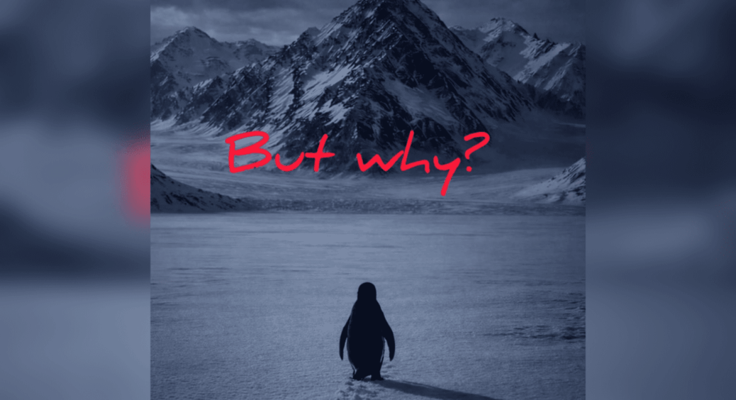 “But why?” Історія пінгвіна-нігіліста, яка сколихнула світ та змусила замислитися над сенсом життя 
