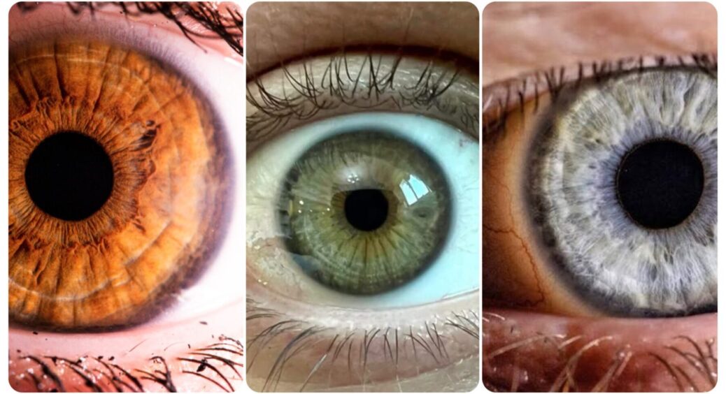 Чи знали ви що оболонка ока є не у всіх людей? Ось, що вона означає і чому не всі її володарі 