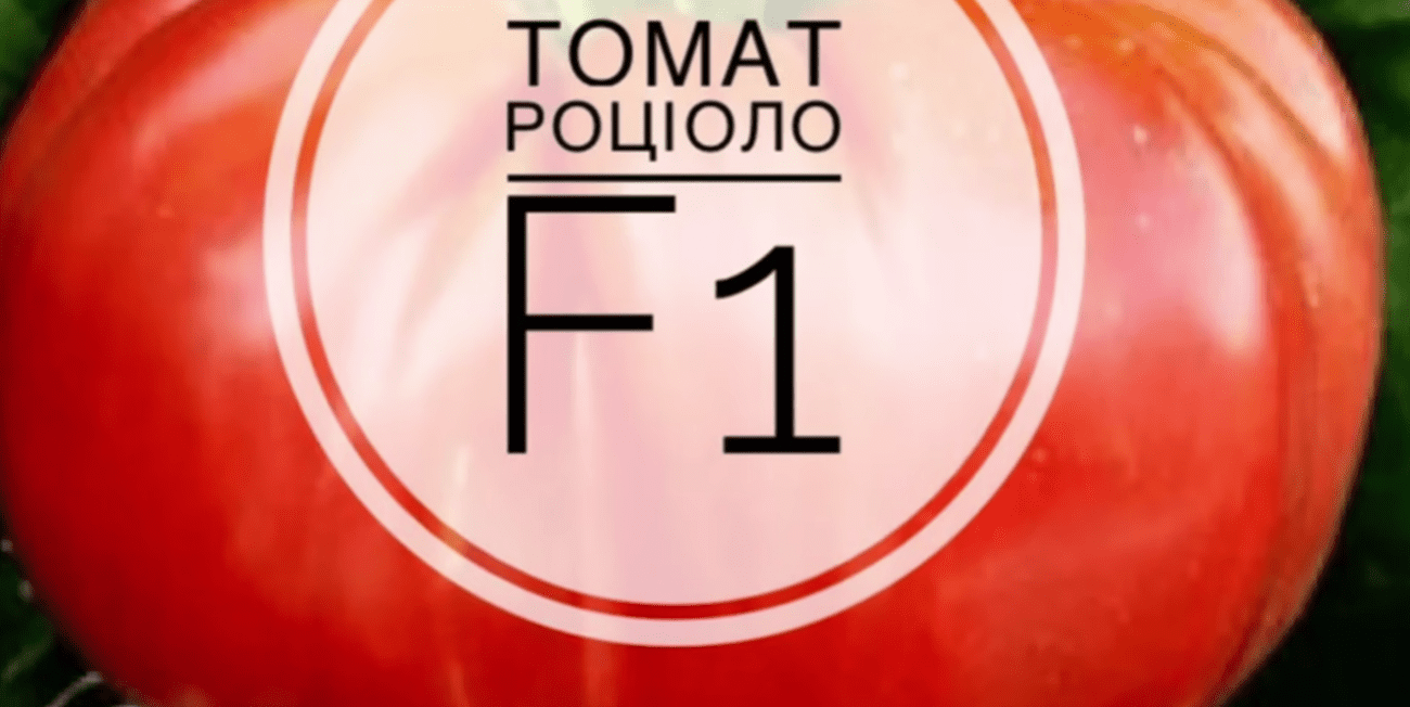 Городники назвали 5 найкращих позицій сортів томатів на новий сезон 2026