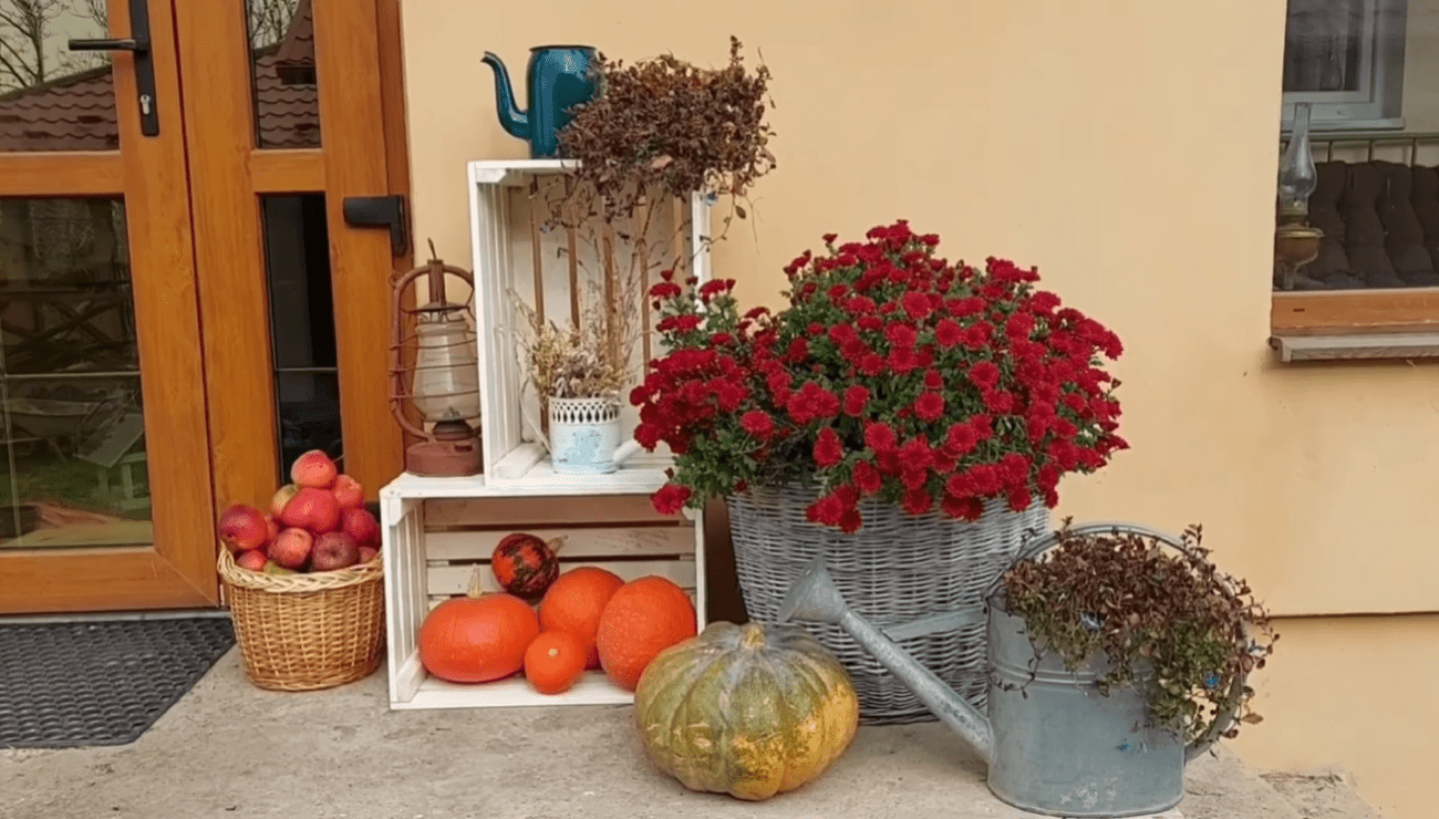 Садівники поділилися стильними ідеями для облаштування саду