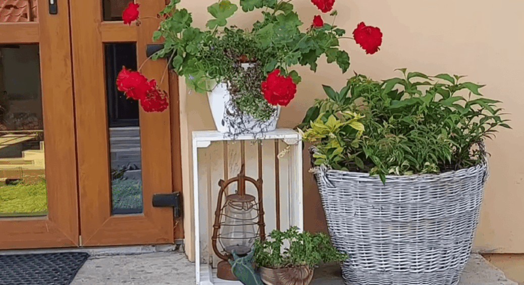 Усього 2 дерев’яні ящики і всі сусіди зупиняються, щоб подивитися! Стильні ідеї для вашого саду 