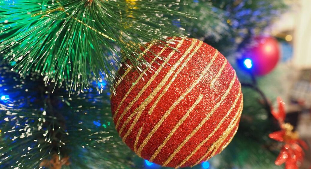 Цей сорт ялинки перевершує всі інші – стоятиме до Водохреща, не втрачаючи жодної голочки 