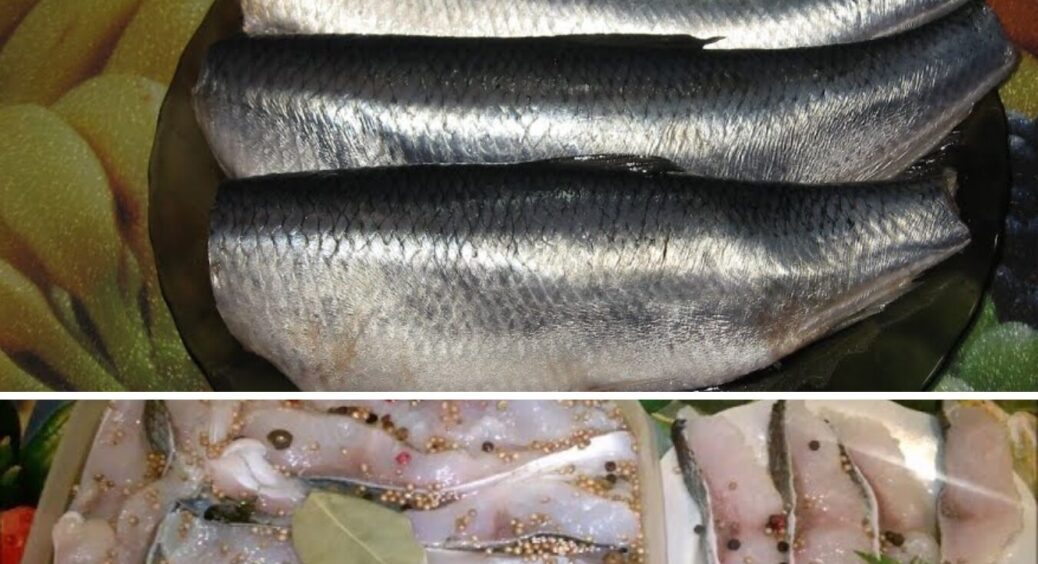 Вже 7 років готую так рибу – смакує на всі 200: мариную оселедець і красиво подаю на стіл 