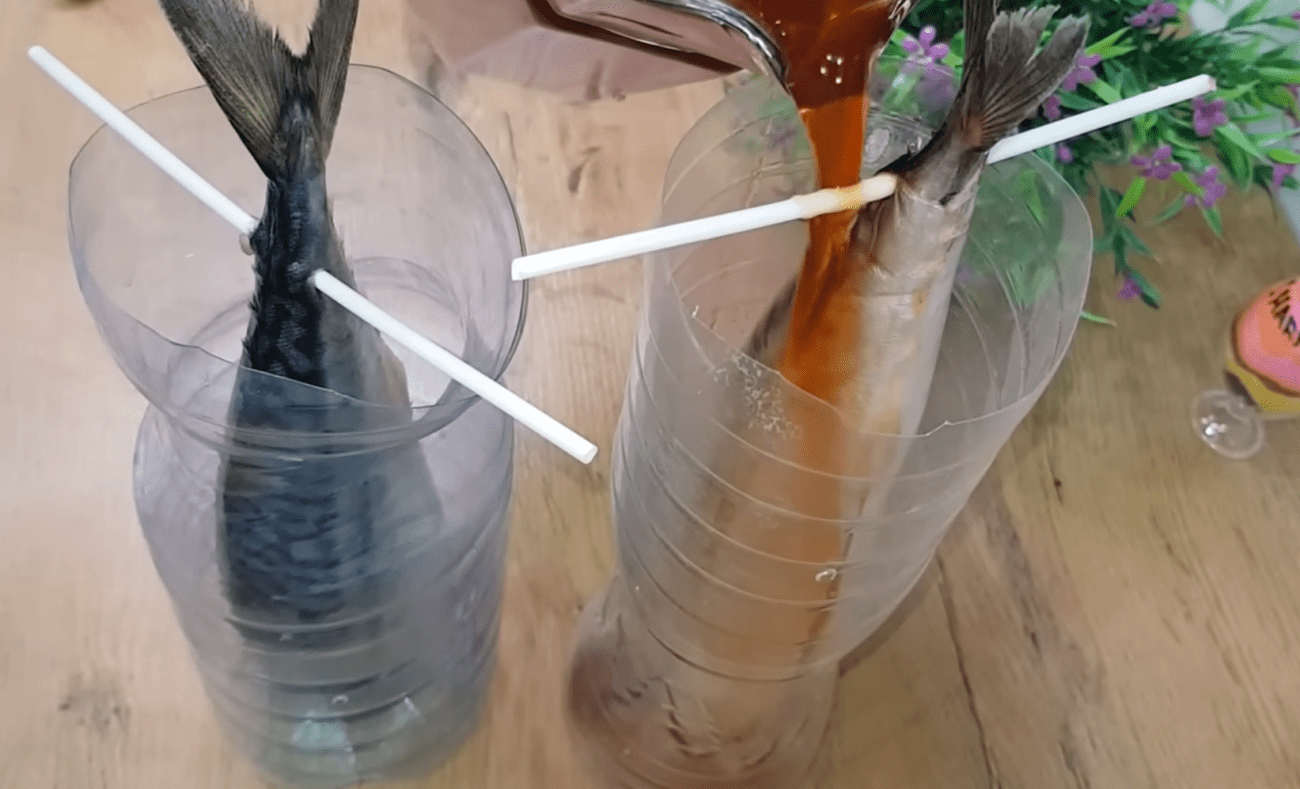 Рецепт скумбрії холодного копчення в домашніх умовах без коптильні 