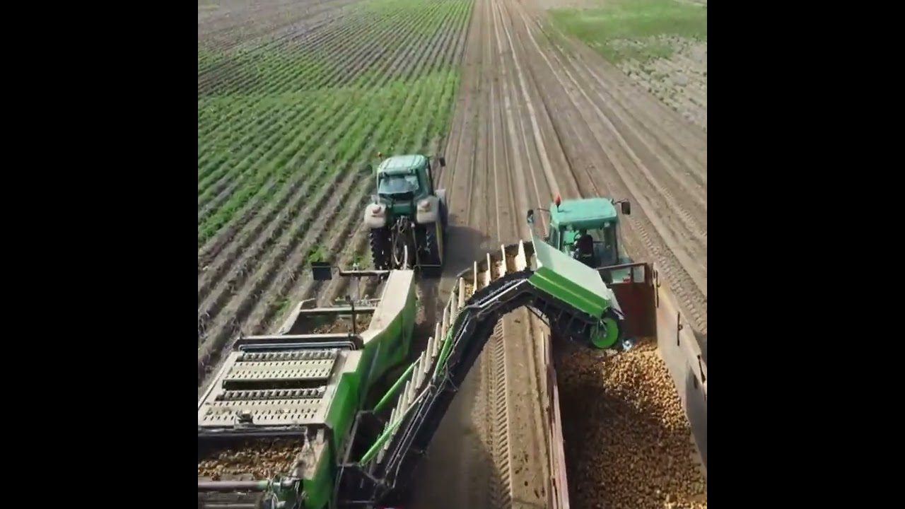 Параметри, які впливають на якість зберігання картоплі