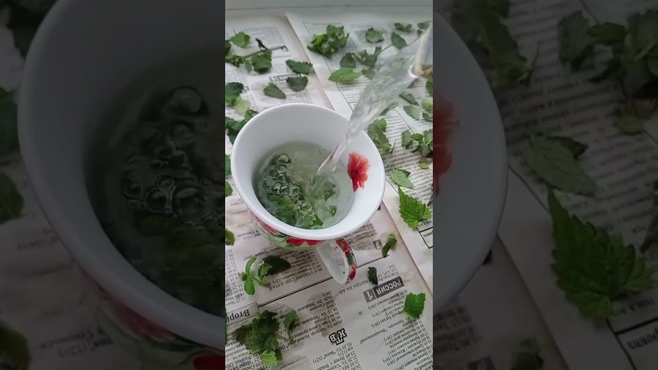 Трав'яний збір для чаю