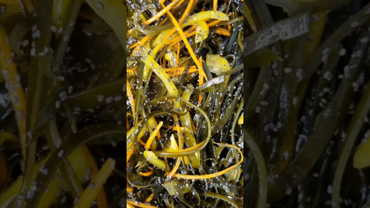 Рецепт салату по-закарпатськи з ламінарією