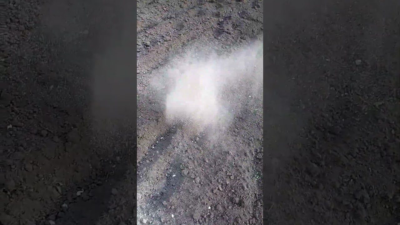 Як борошно допомагає підготувати землю до весняних посадок