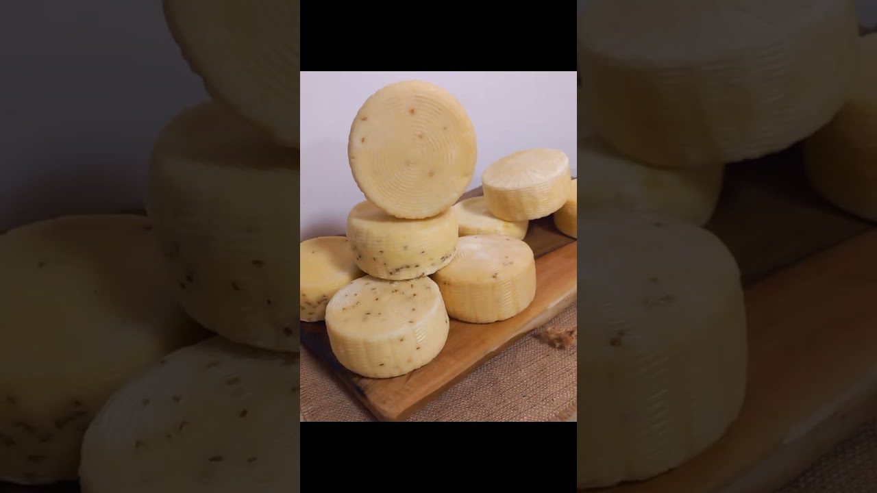 Як захистити сир від плісняви та всихання