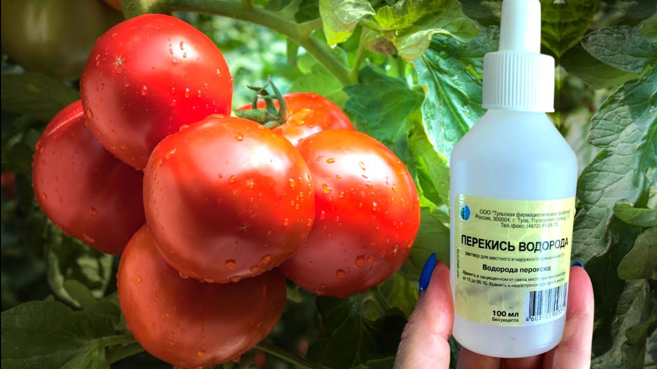 Агрономи назвали засіб, який розпушить землю на городі без лопати