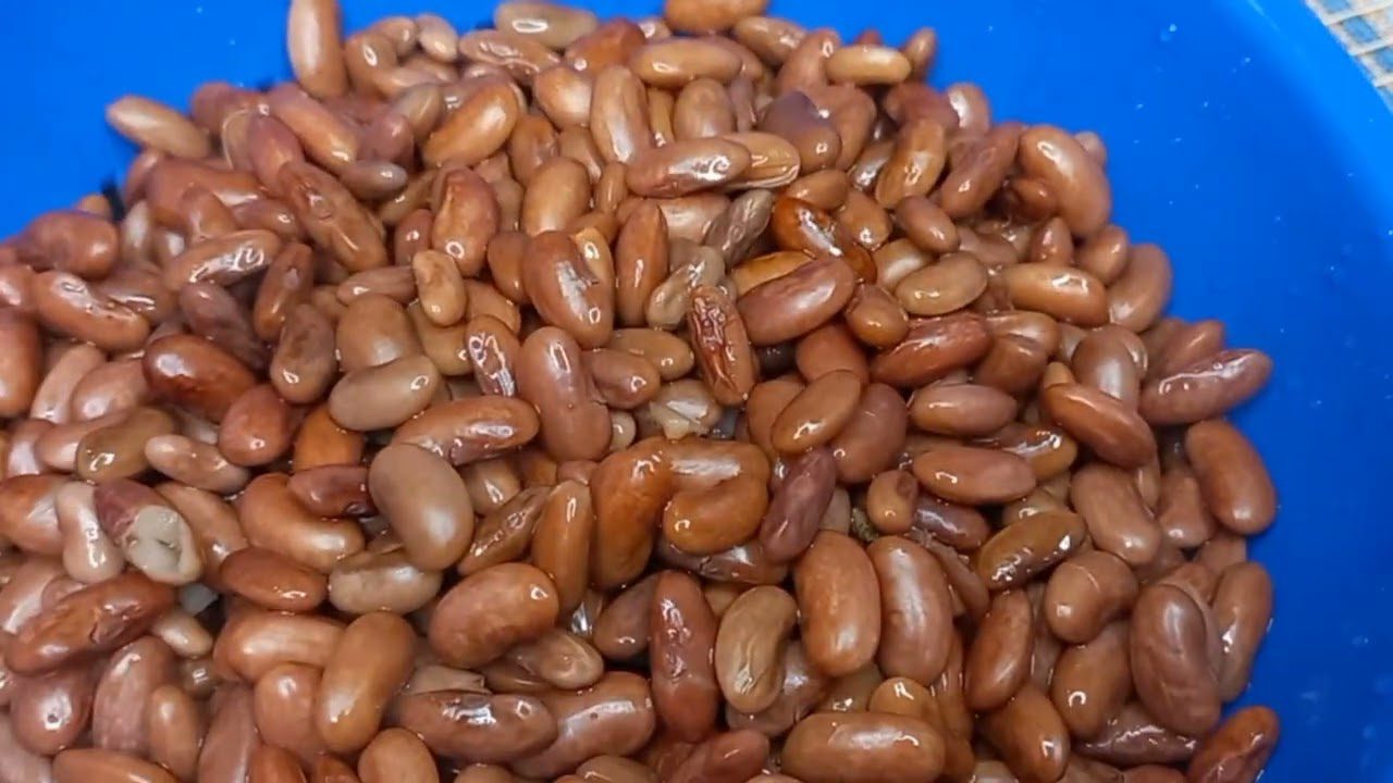 Експерти розповіли, як швидко відварити квасолю без попереднього замочування
