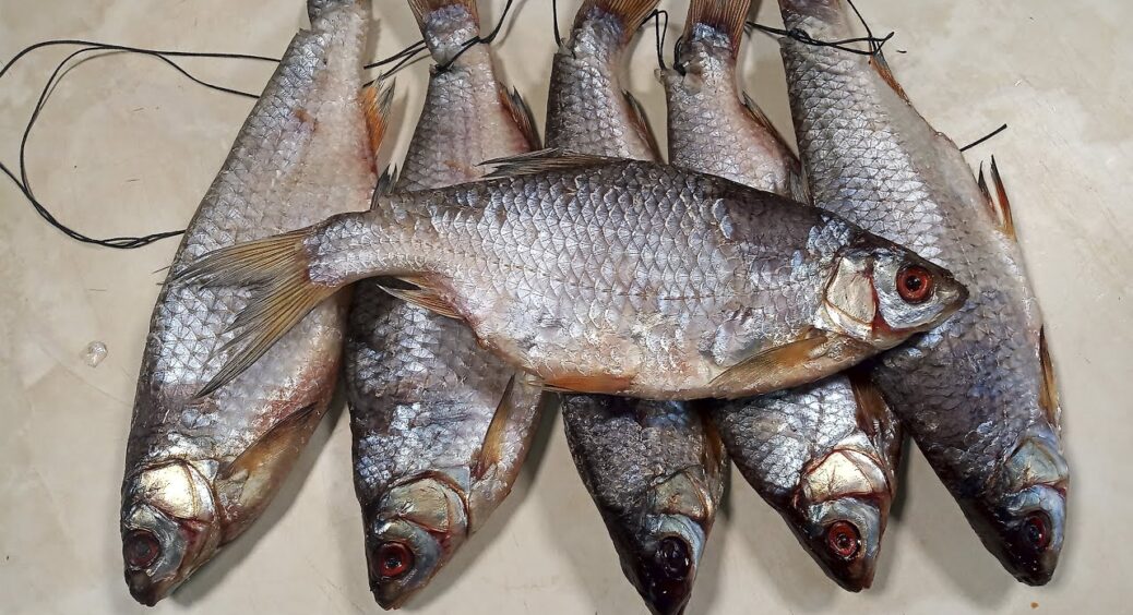 Таранька буде м’яка, як масло: дідівський сухий посол, який дозволяє зберігати продукт ще довше 