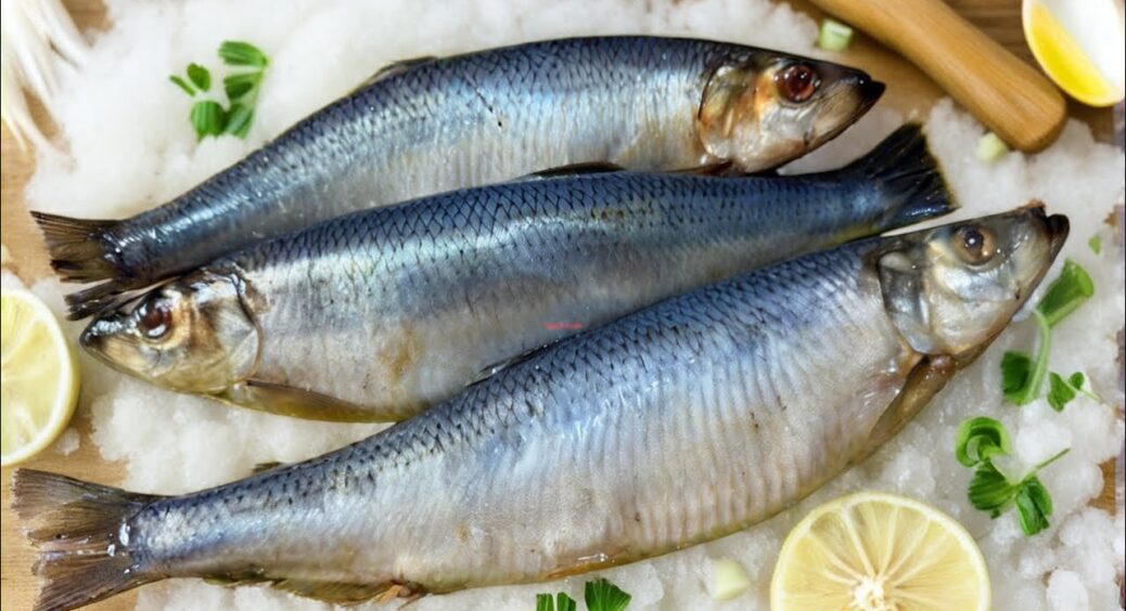 Дешева та корисна риба для тих, кому за 60: ніякої ртуті, але насичена йодом і селеном 