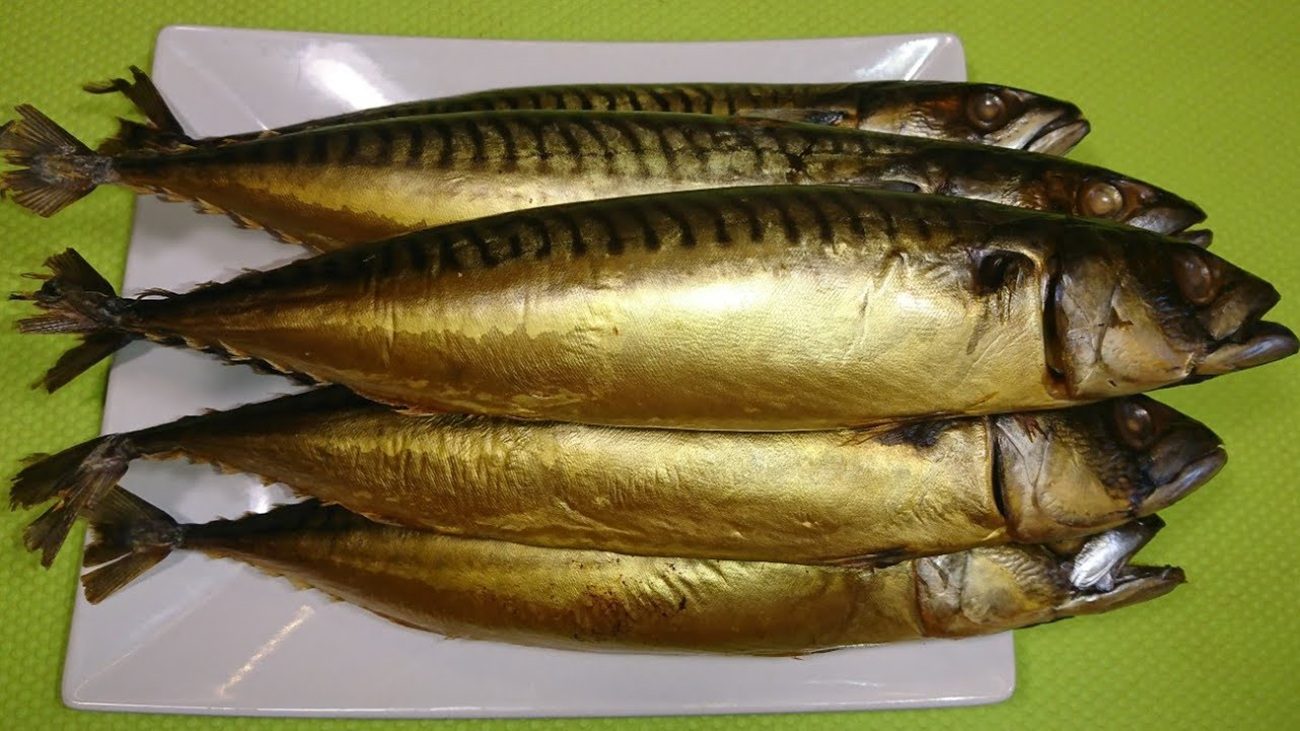 Рецепт скумбрії холодного копчення в домашніх умовах без коптильні