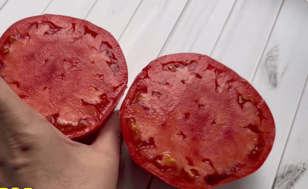 Городники назвали найнадійніші сорти помідорів для всіх регіонів