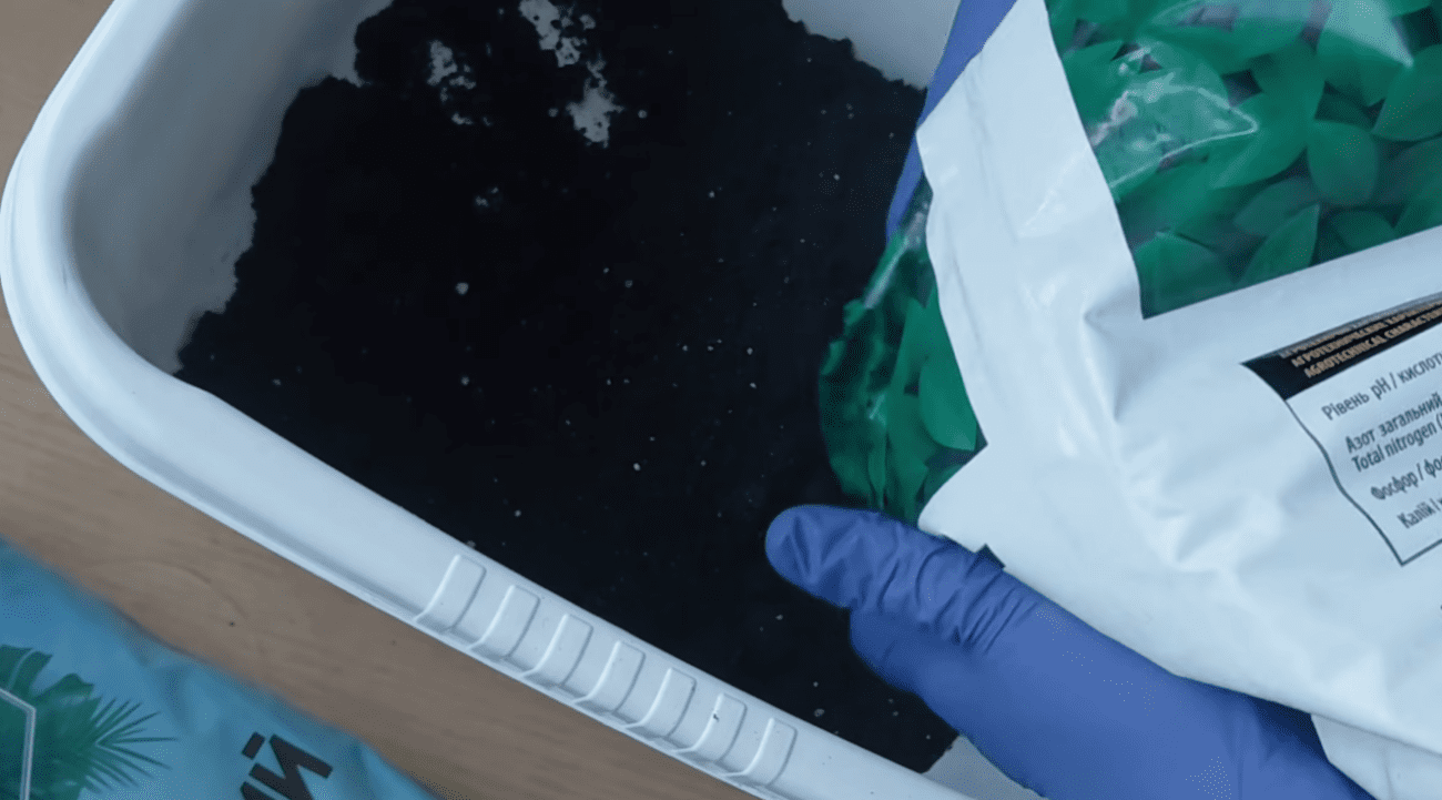 Городники розповіли, як підготувати ґрунт, щоб коріння розсади не загнивало