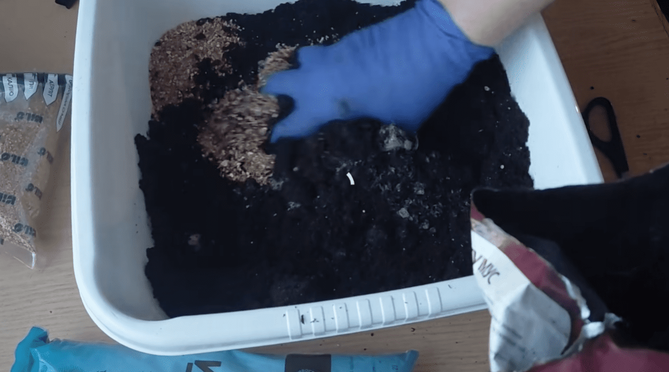 Городники розповіли, як підготувати ґрунт, щоб коріння розсади не загнивало