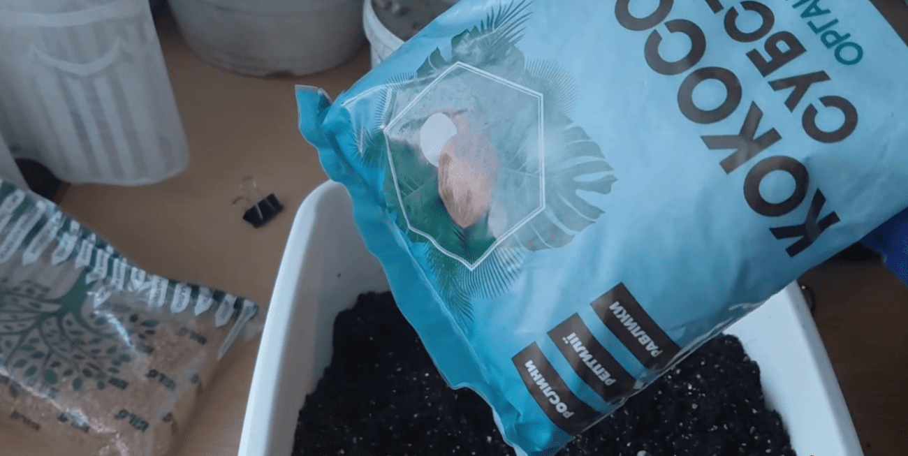 Городники розповіли, як підготувати ґрунт, щоб коріння розсади не загнивало