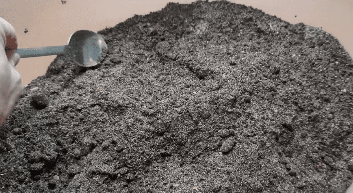 Городники розповіли, як безкоштовно поліпшити ґрунт і захистити розсаду