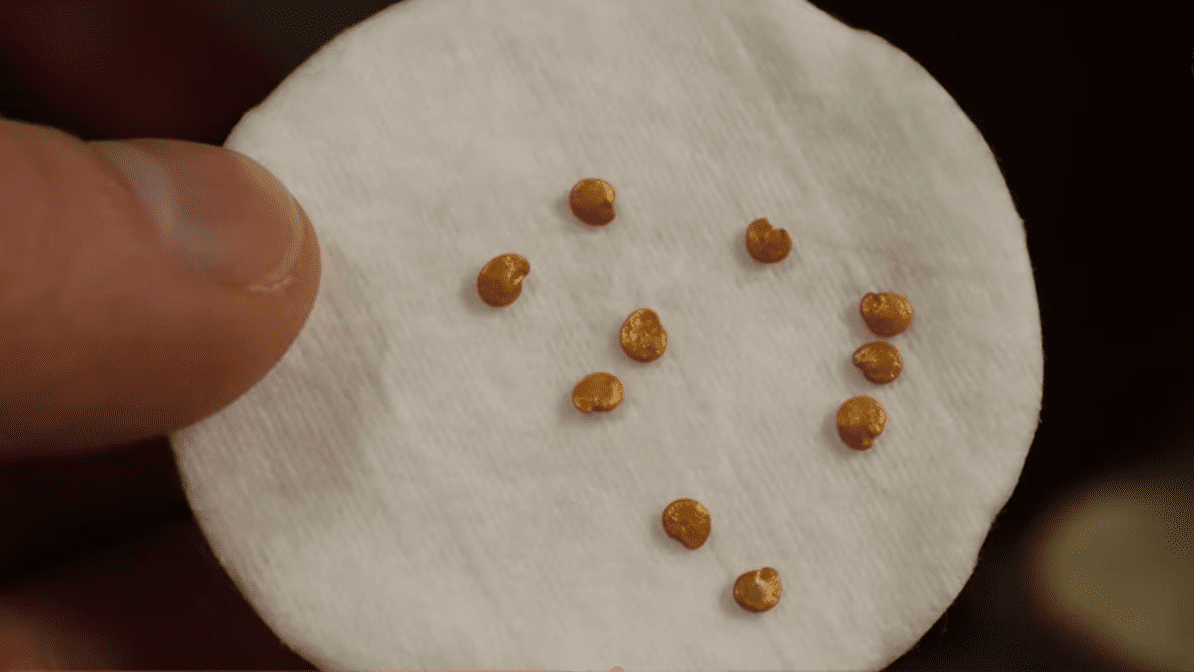 Городники згадали про старий і перевірений метод підготовкинасіння для розсади