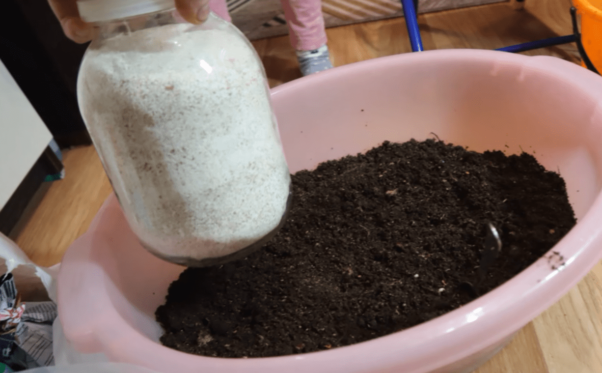 Городники розповіли, що додати до ґрунту для потужної розсади