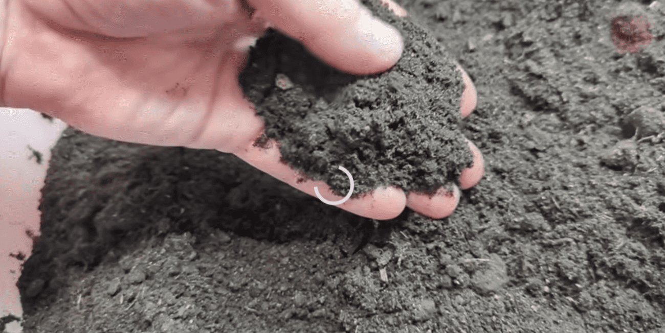 Городники розповіли, що додати до ґрунту для потужної розсади