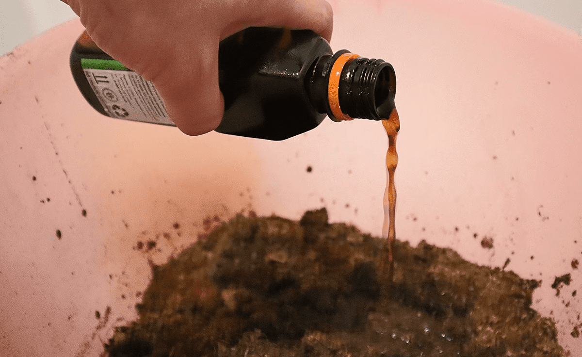 Городники дали перевірені способи знезаразити ґрунт перед посадкою розсади