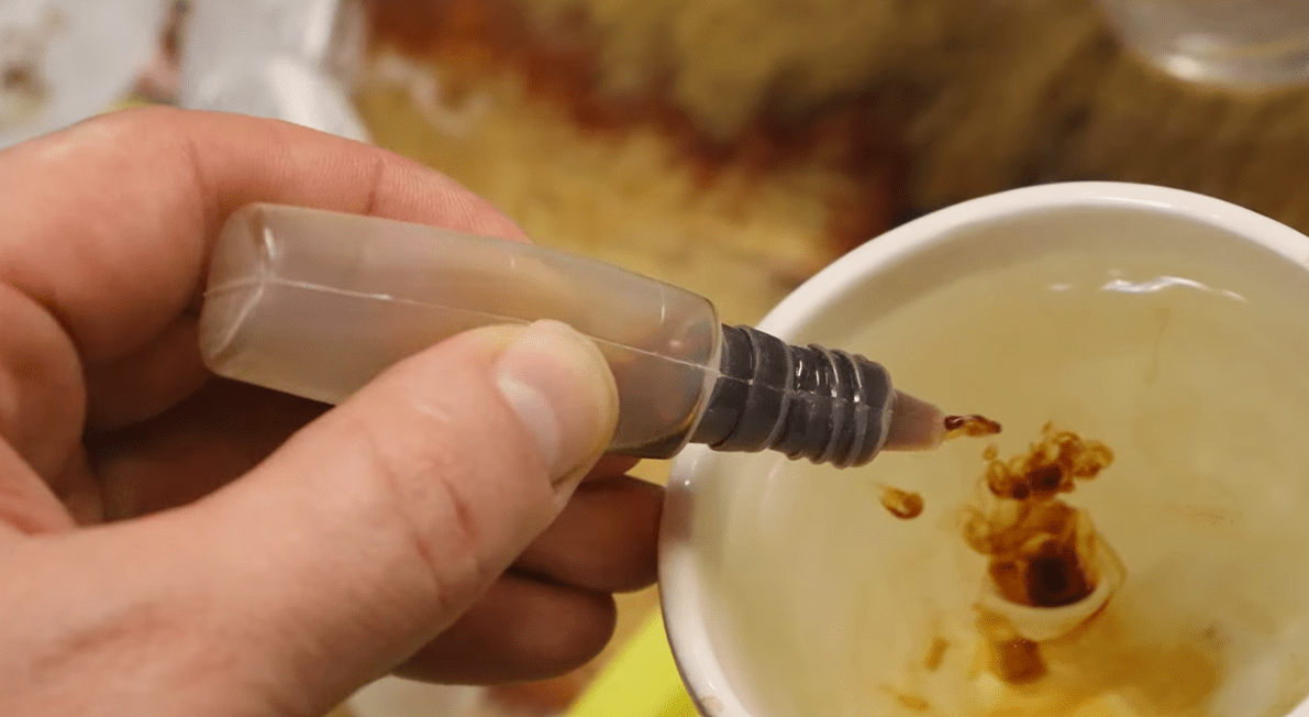 Городники розповіли, як виростити міцну розсаду помідорів та перців