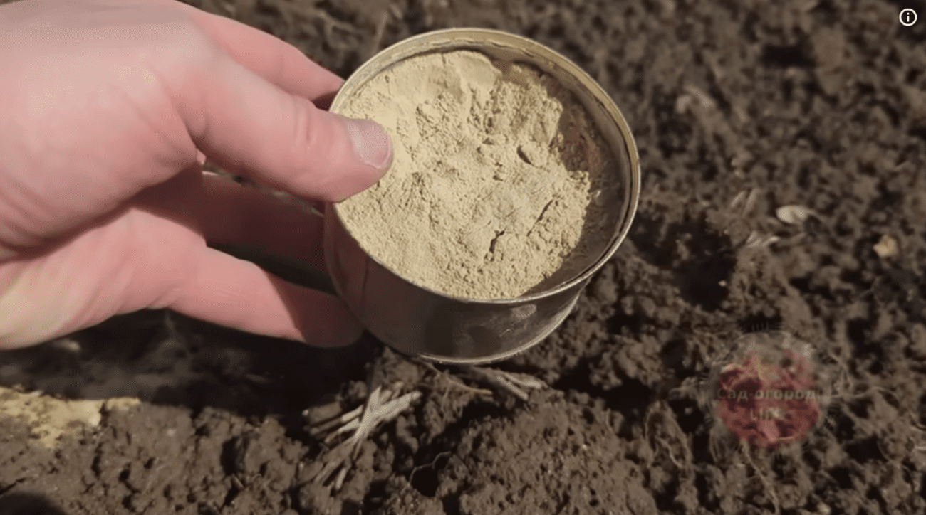 Городники розповіли про найефективніше весняне добриво, яке краще за гній і золу