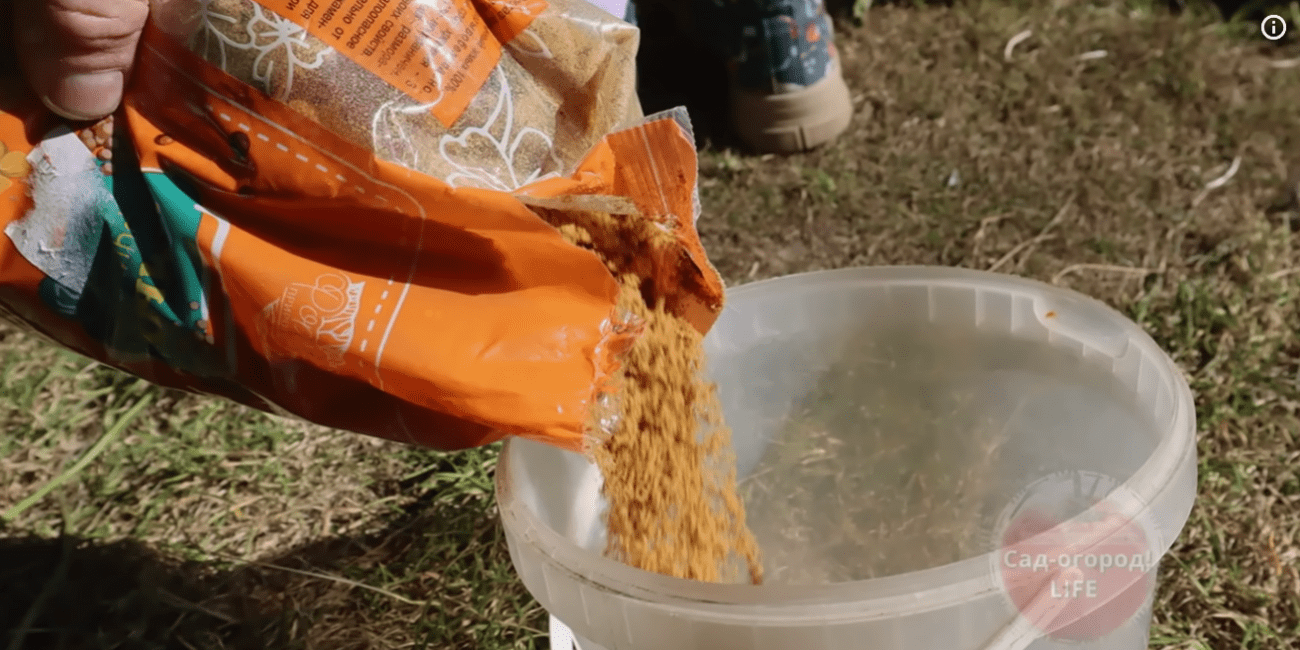 Городники розповіли про найефективніше весняне добриво, яке краще за гній і золу