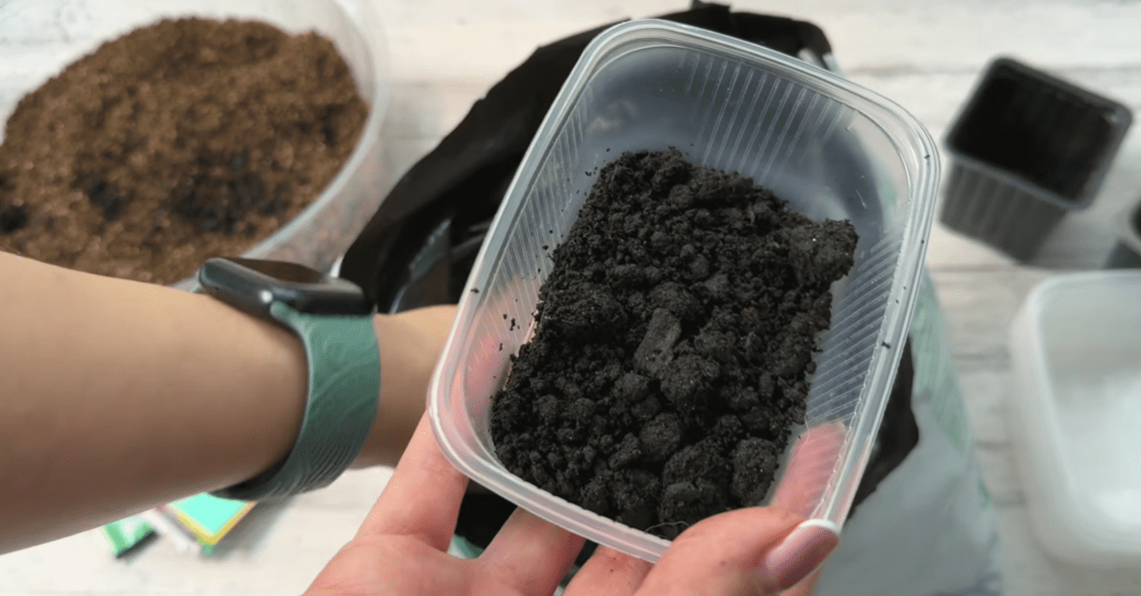 Городники озвучили найпоширеніші помилки при вирощуванні томатів