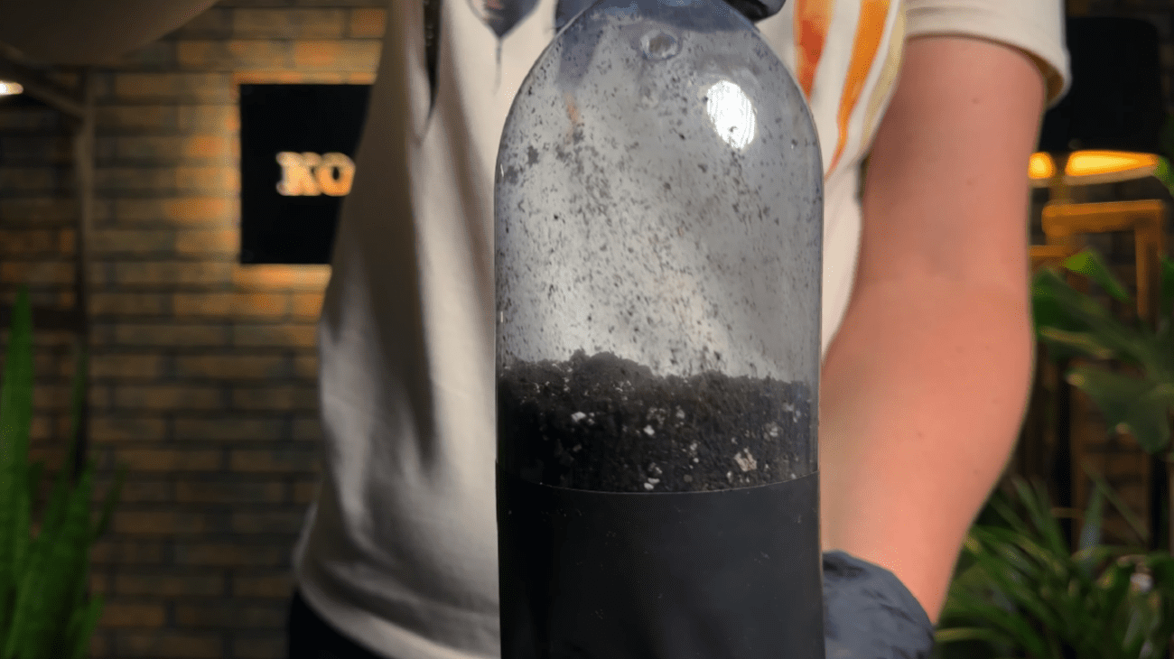 Як виростити розсаду перцю без пікіровки