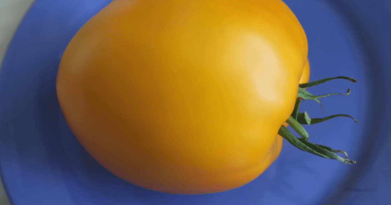 Садівники назвали найкращі сорти томатів, які жодного разу не підвели