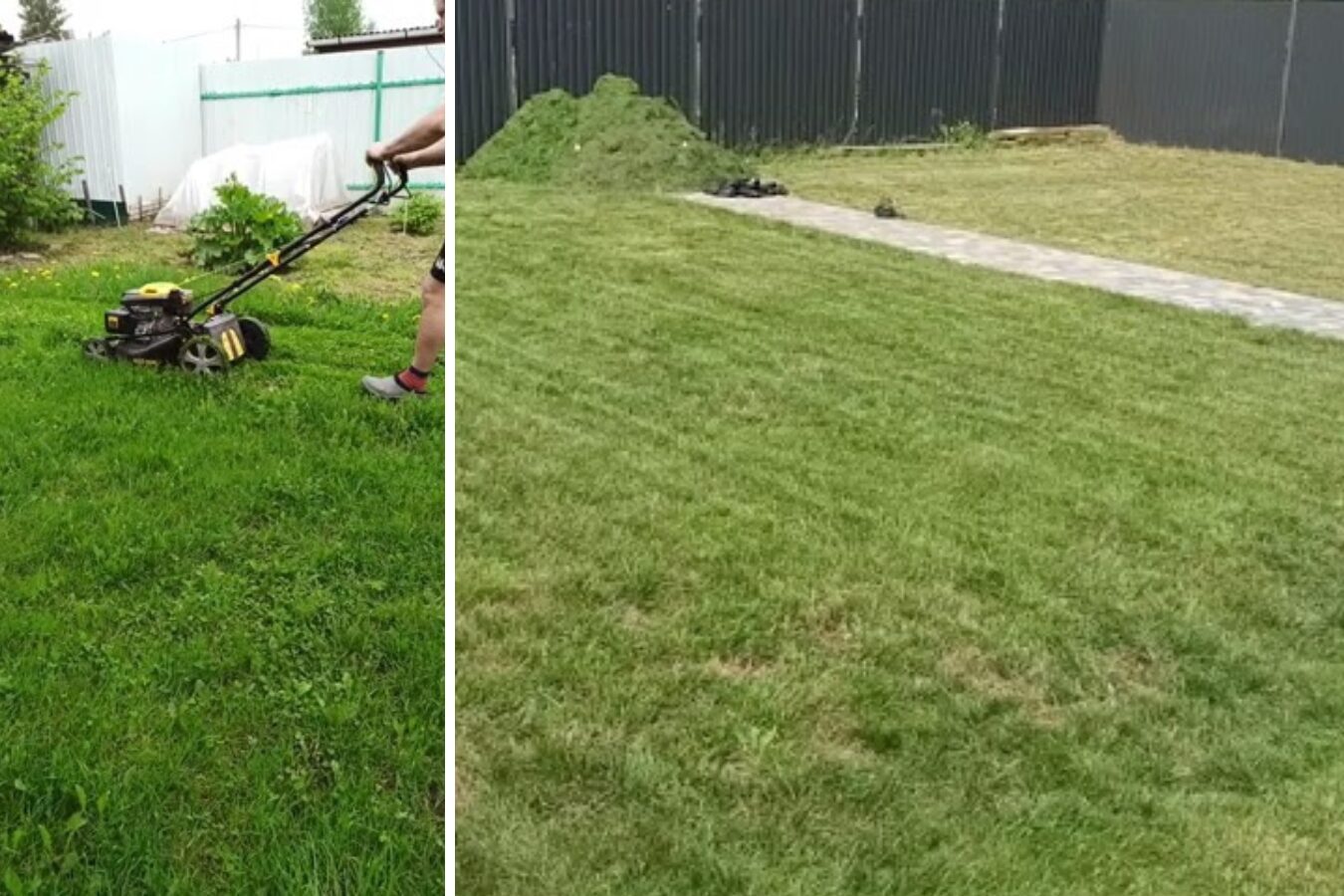 Ландшафтні дизайнери розповіли, як правильно формувати газон