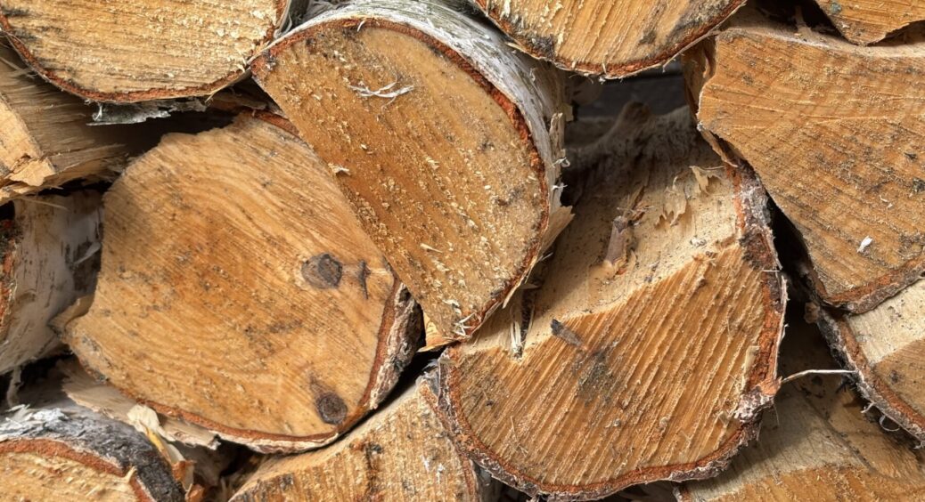 Дрова на Одещині подорожчали на 20%, а у Києві? Скільки зараз українці віддають за куб 