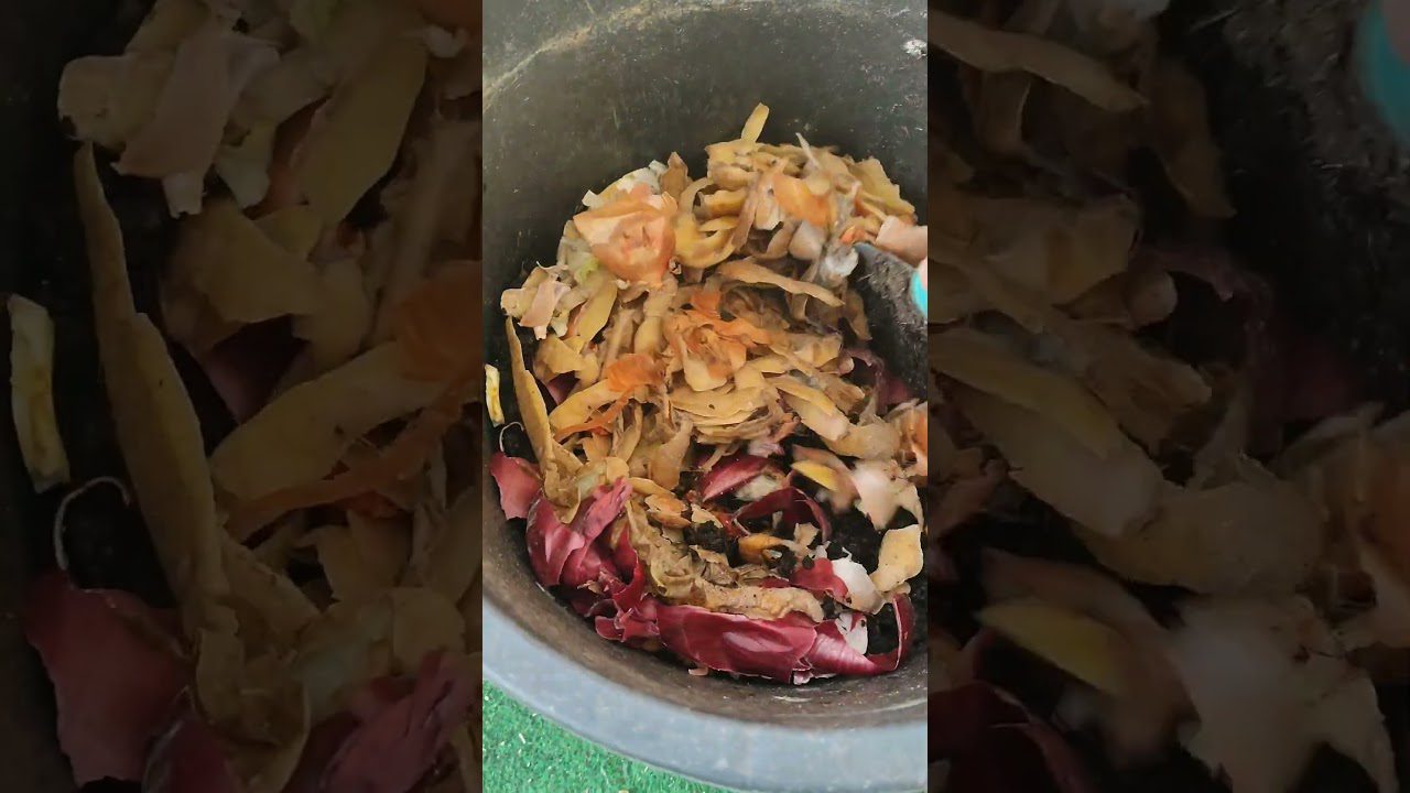 Дачники назвали ідеальне добриво для городу в березні 2026