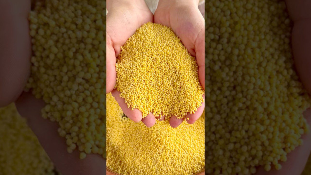 Користь і секрети приготування пшоняної каші