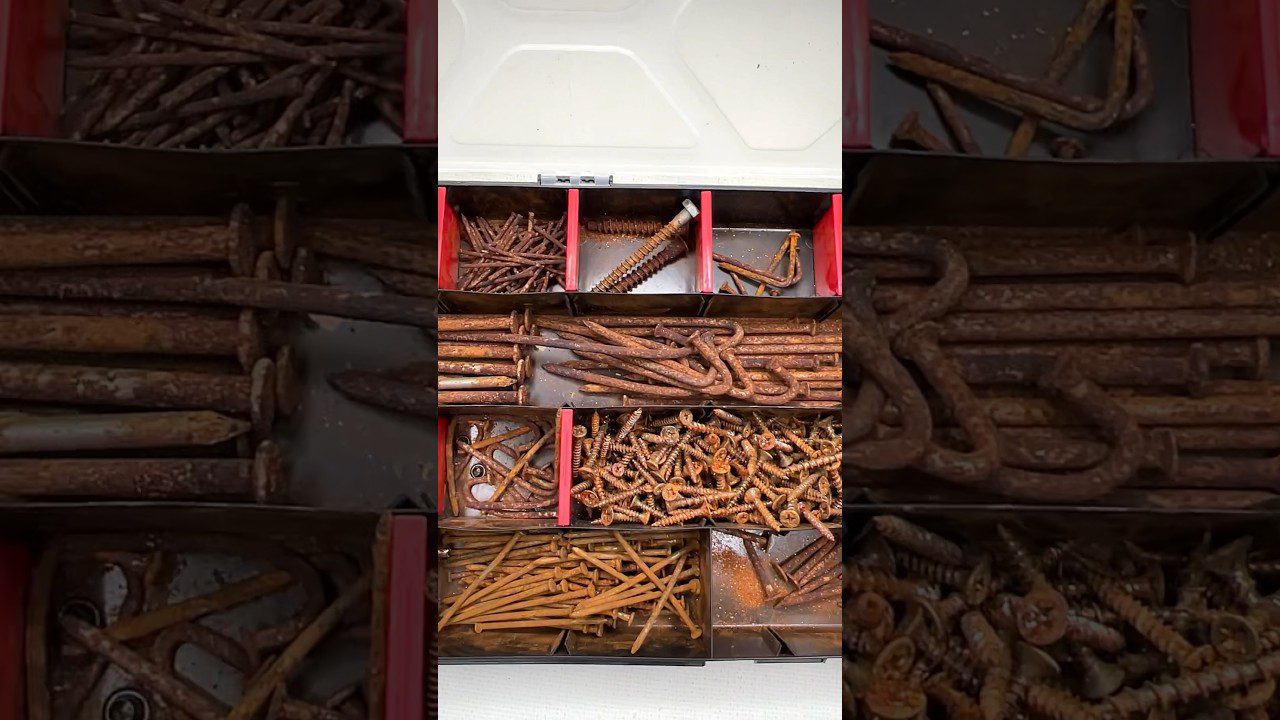 Дачники розповіли, навіщо закопувати ржаві цвяхи під кущі лохини