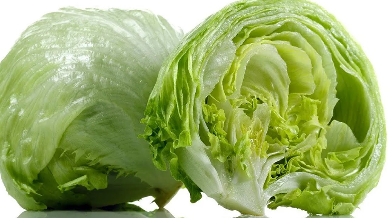 Сорт салатної зелені Айсберг для тривалого зберігання