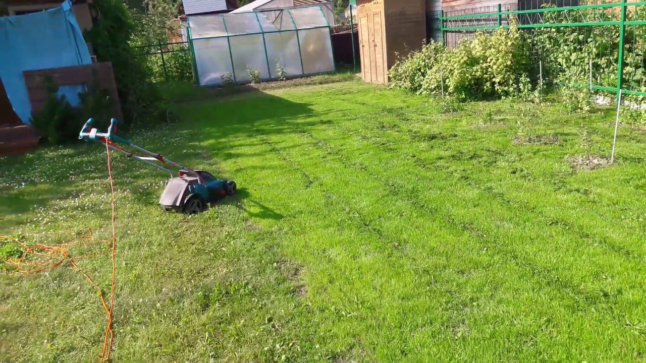 Ландшафтні дизайнери розповіли, як правильно формувати газон